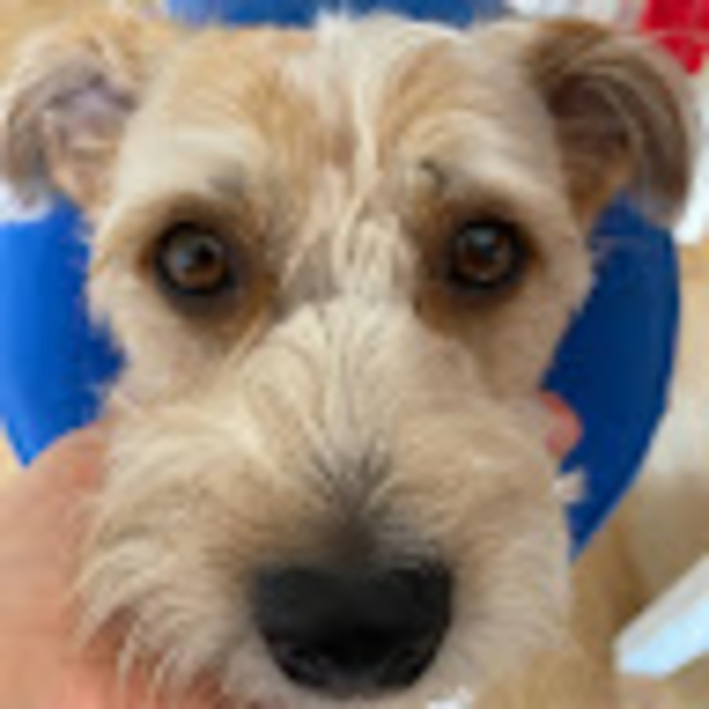 Meet your Posher, Suzu irvine